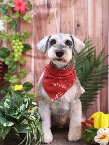 20230827バーツくん